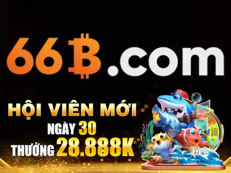 66b trong đời sống hàng ngày