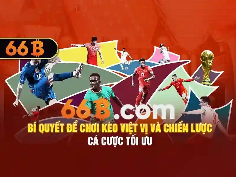 Sản phẩm và dịch vụ chính của k9-66b lantern