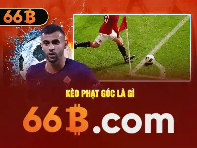 Sản phẩm và dịch vụ cốt lõi liên quan đến 66b concord st wilmington ma 01887