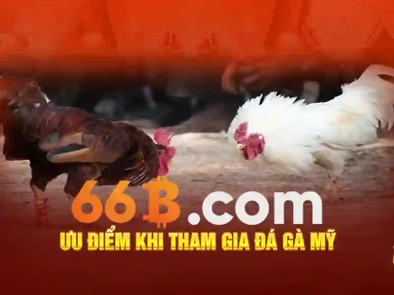 66b cách mạng tháng 8 phường 6 quận 3 – Hành trình thương hiệu và di sản