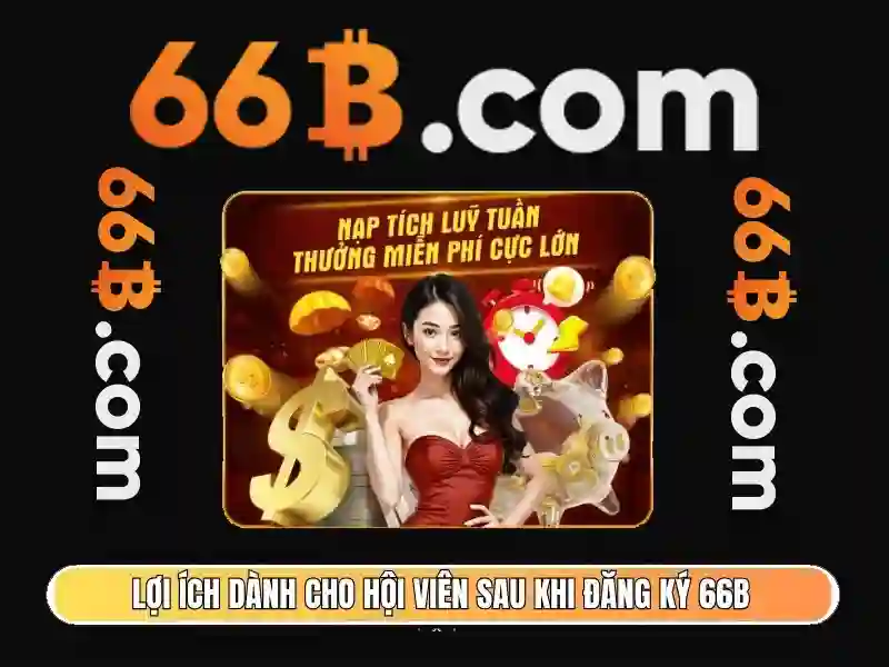 Giấy phép hoạt động 66b chứng minh sự uy tín và hợp pháp