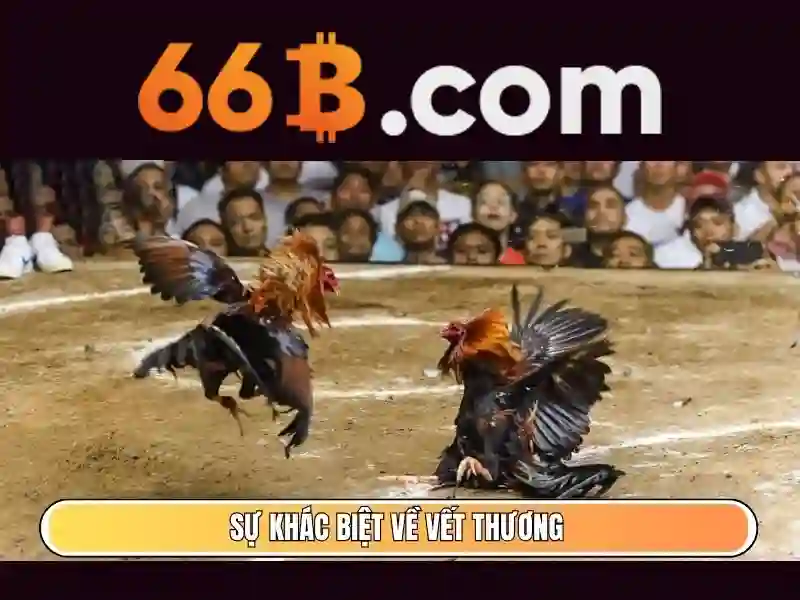 Hệ thống thanh toán đa dạng và an toàn tại 66b