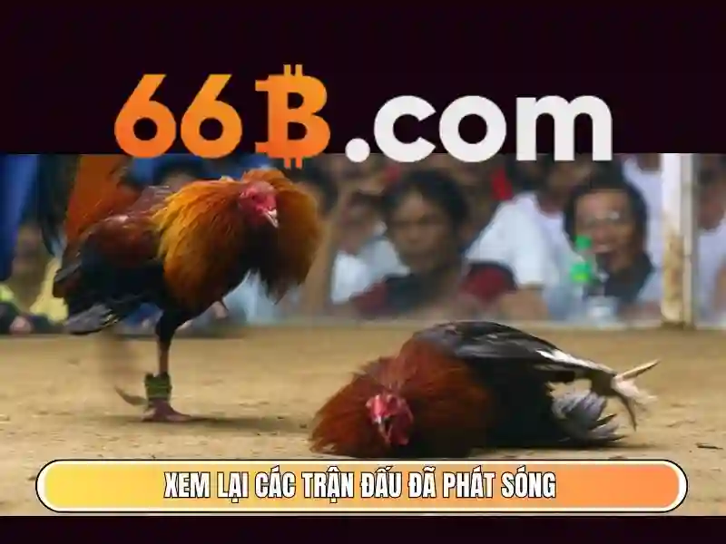 66b bet com – Tổng quan và trải nghiệm người dùng