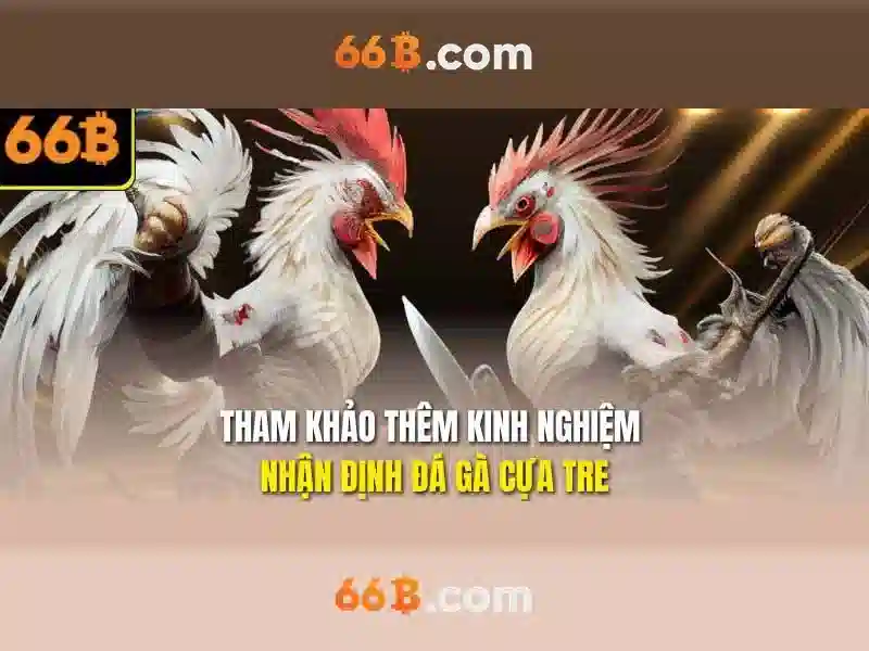 Đánh đổi giữa kích thước và hiệu suất\n\n<h>Kết luận về 66B</h>\n<p><span style=