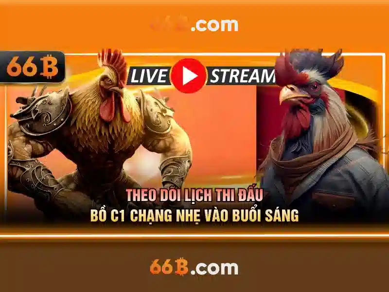 Cách tối ưu hóa và fine-tuning 66B