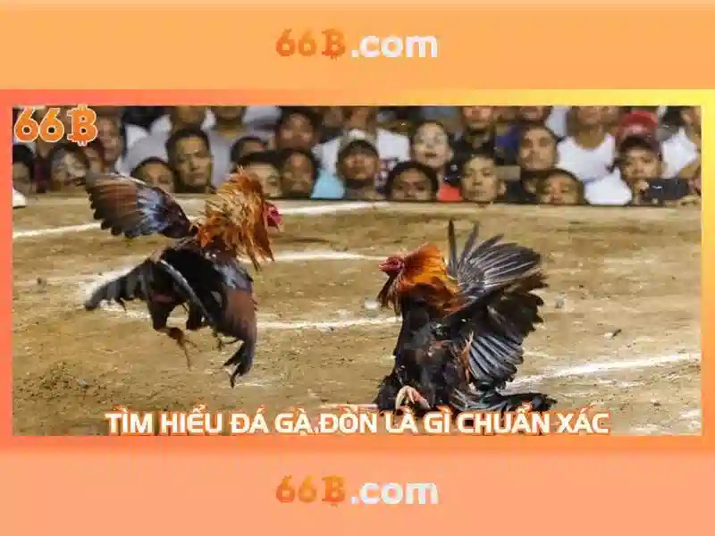 Ví dụ ứng dụng trong doanh nghiệp