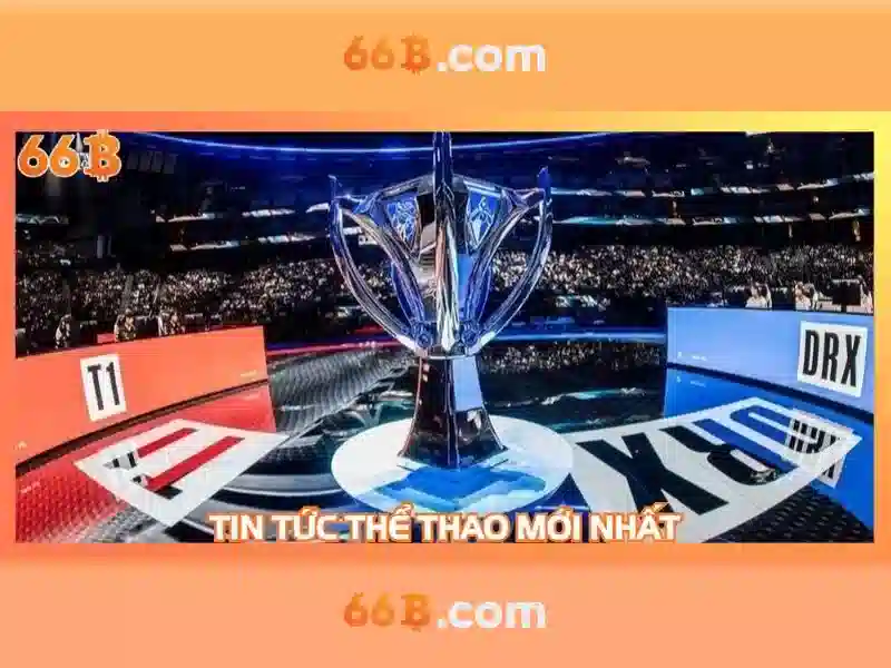 66b: một khái niệm và những ảnh hưởng của nó