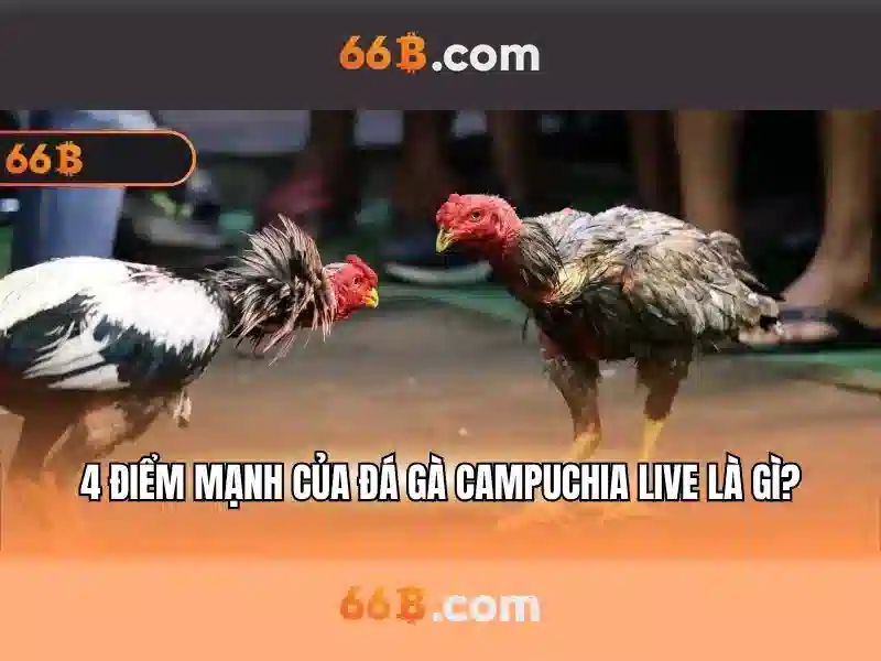 Sản phẩm và Dịch vụ chính: Ứng dụng thực tế của trường con 66b nguyễn sĩ sách<h2><b>Ưu thế và Năng lực cạnh tranh</b></h2><p><span style=