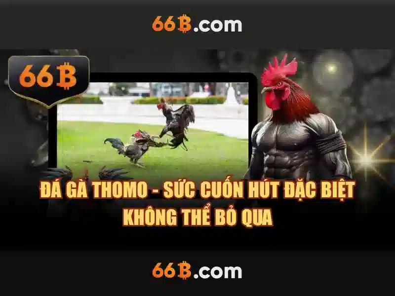 66b phiên bản mới