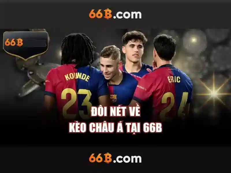 Trải nghiệm người dùng và phản hồi cộng đồng