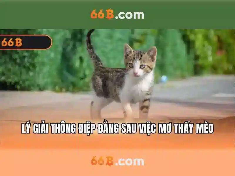 Sự khác biệt giữa 66b và các mã khác
