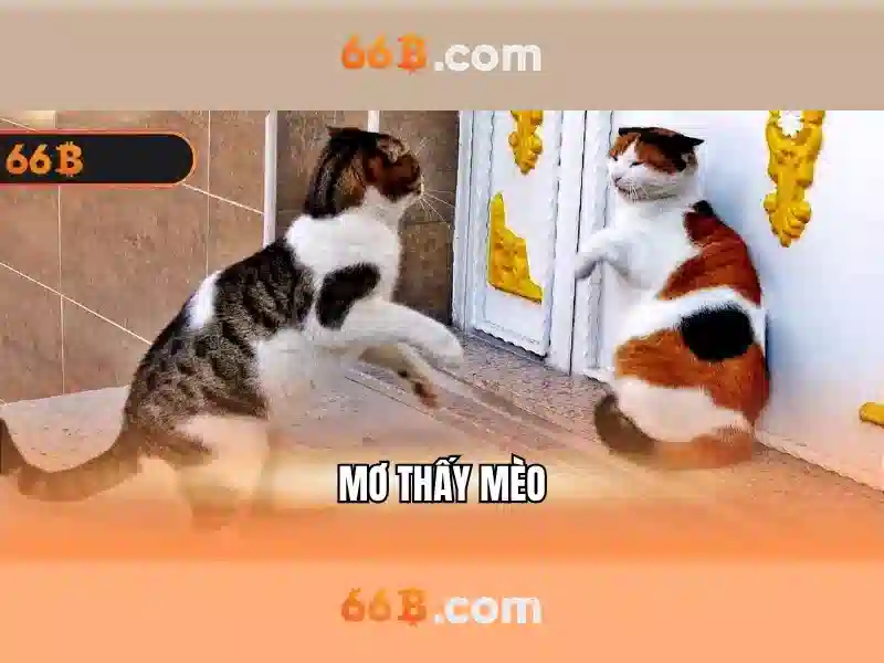 Endrick Rời Real Madrid – Câu Chuyện Phía Sau Quyết Định