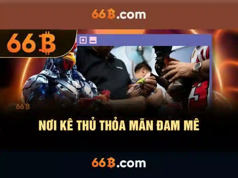 66b là gì?