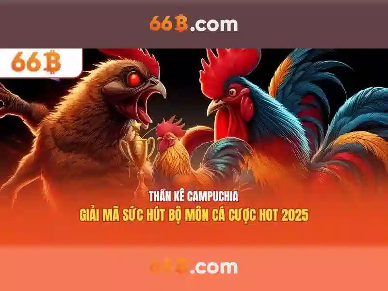 Khái niệm 66b\n<h>Nguồn gốc và ý nghĩa</h>\n<p><span style=