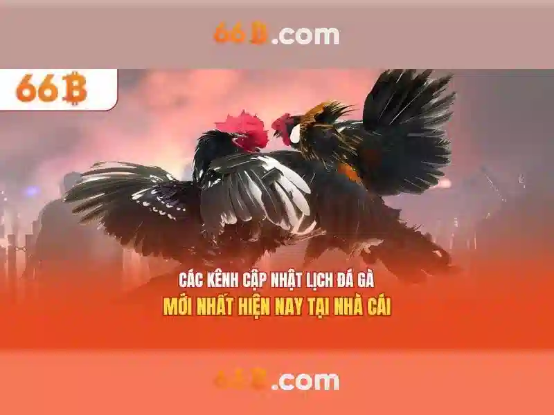 Làm thế nào để triển khai