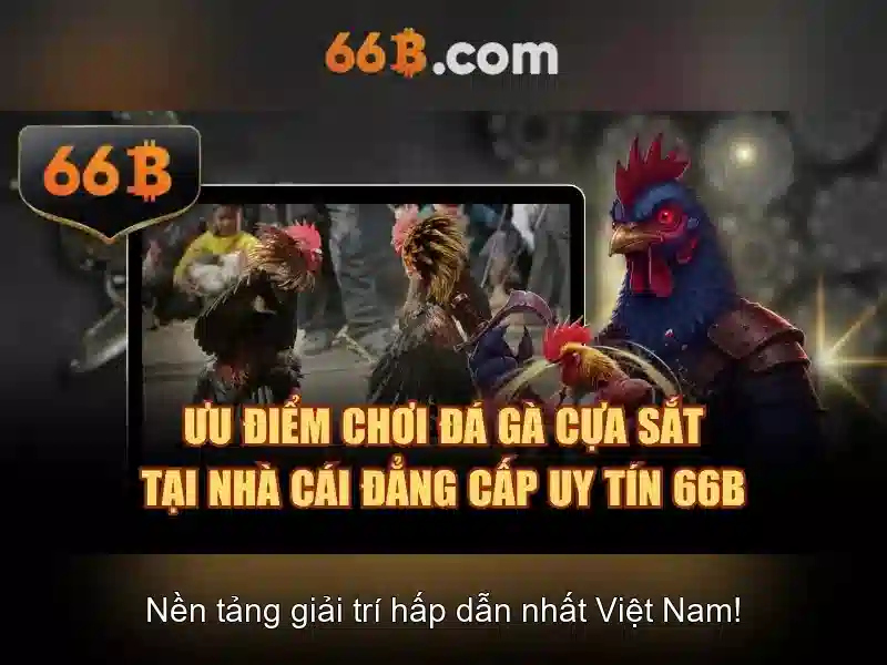 Kiến trúc và dữ liệu