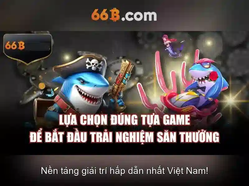 Giới thiệu về 66B