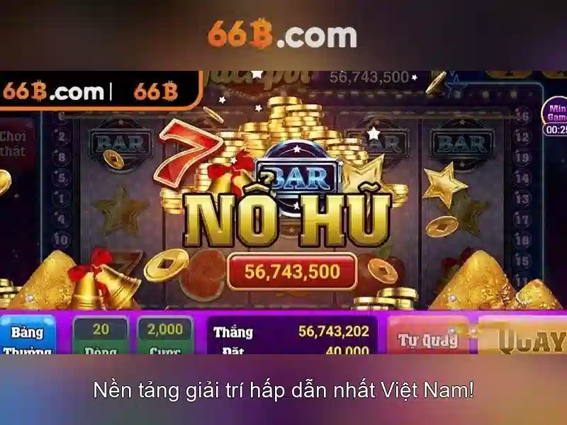 66B là gì?
