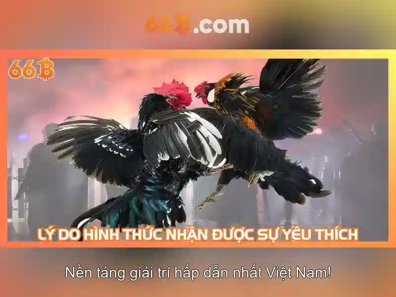 Kiến trúc và tham số