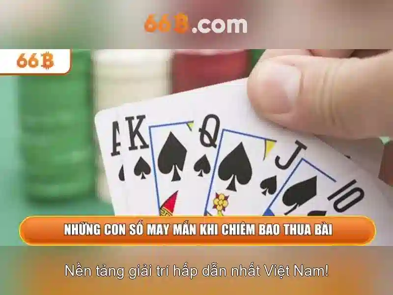 Tài khoản 66b – Ưu thế và cạnh tranh
