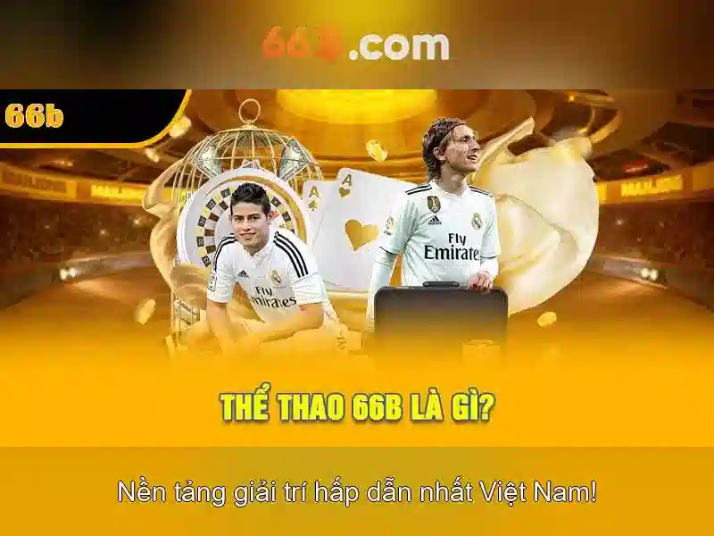 KIẾN TRÚC CƠ BẢN CỦA 66B