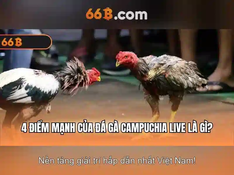 Kết luận về tương lai của 66b