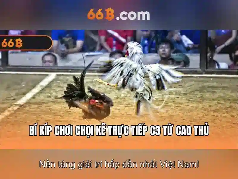 66B: Mô hình ngôn ngữ lớn 66 tỷ tham số và tương lai của trí tuệ nhân tạo