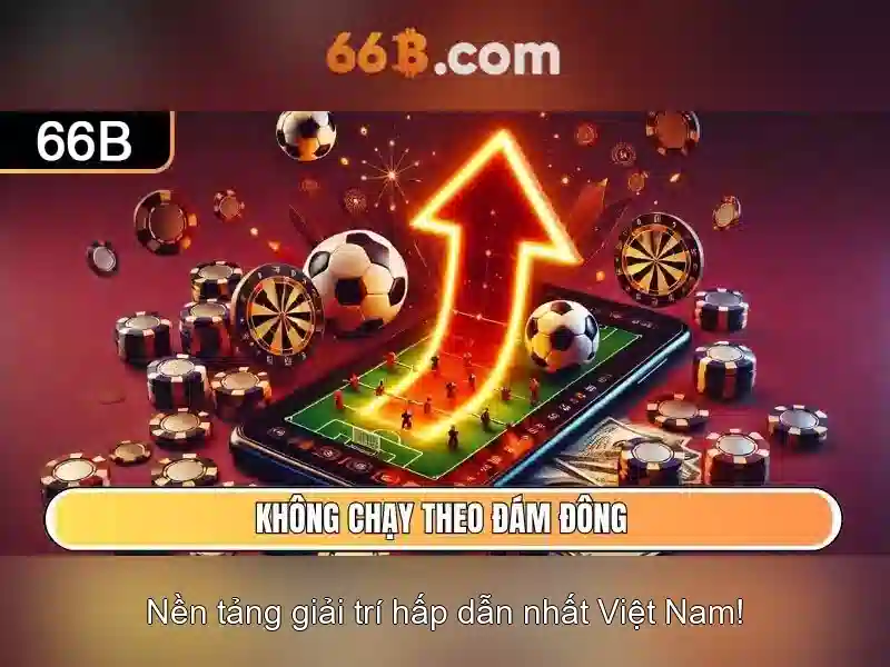 66b là gì