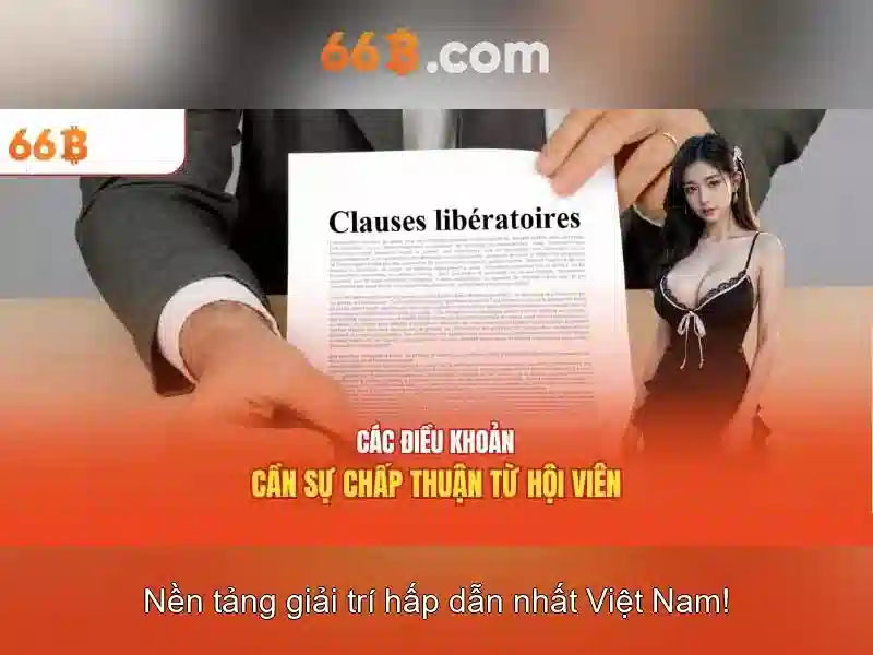 66B là gì