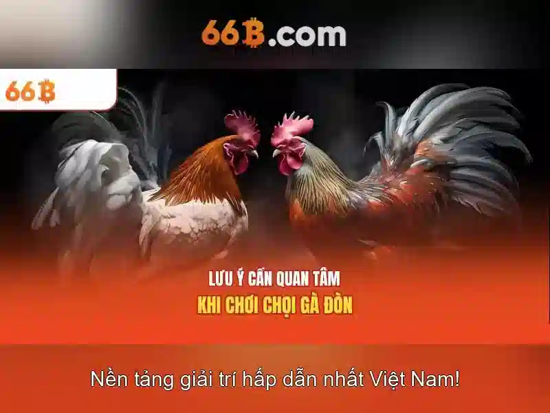 Nguồn gốc và ý nghĩa của 66b