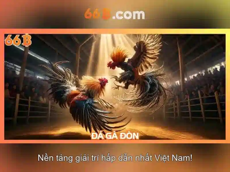 Trải nghiệm người dùng và phản hồi cộng đồng