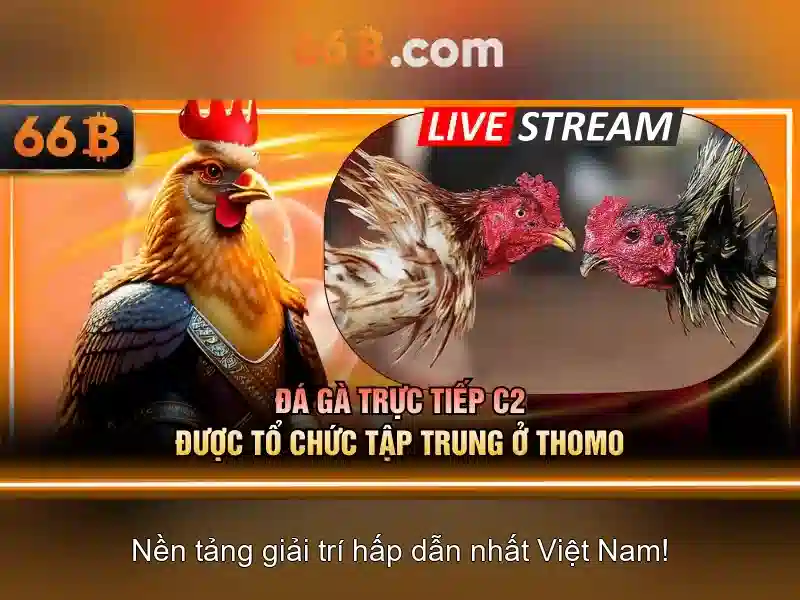 Khám phá quy mô 66B và ý nghĩa tham số