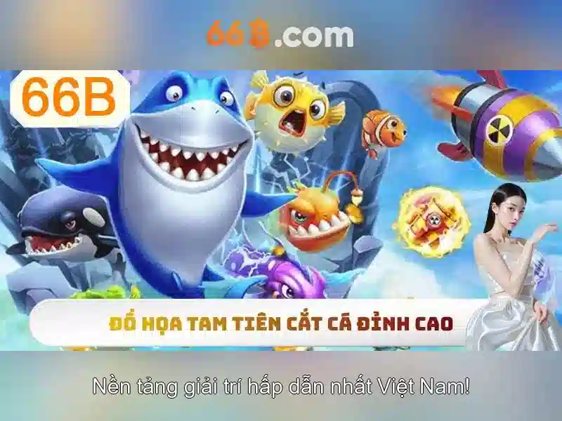 66B: một khái niệm và tác động