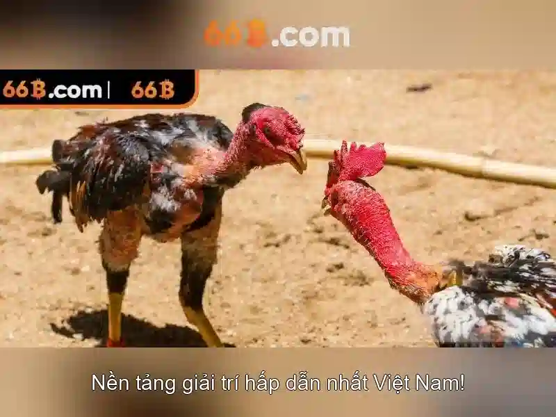66b là một mô hình ngôn ngữ quy mô lớn được phát hành gần đây