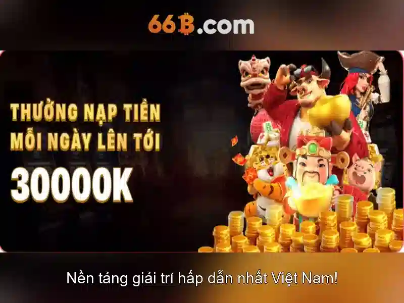 66B: Định nghĩa và quy mô