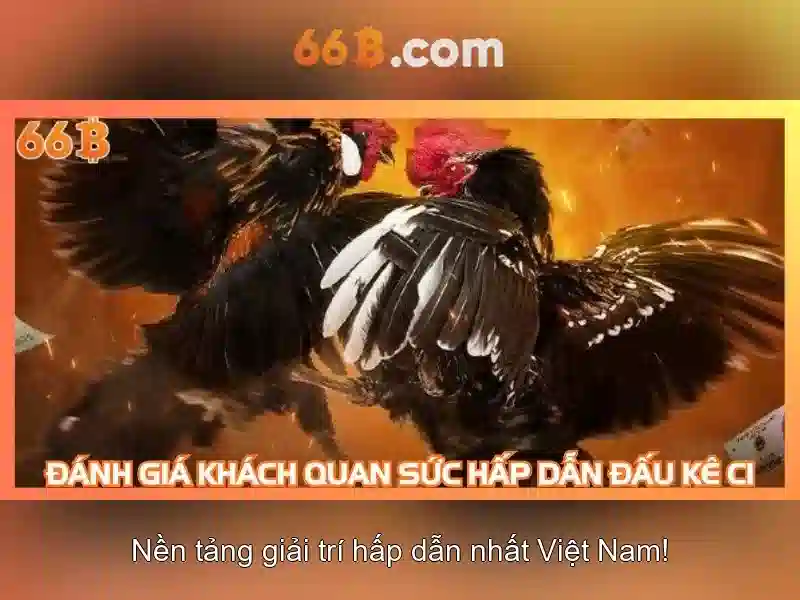 Cấu trúc và tham số