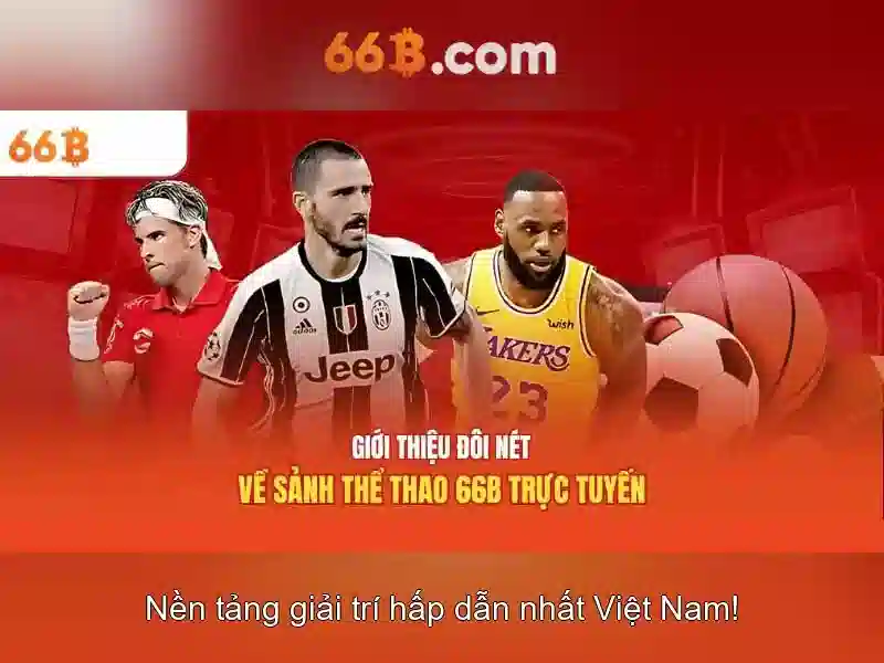 Giới thiệu về 66B