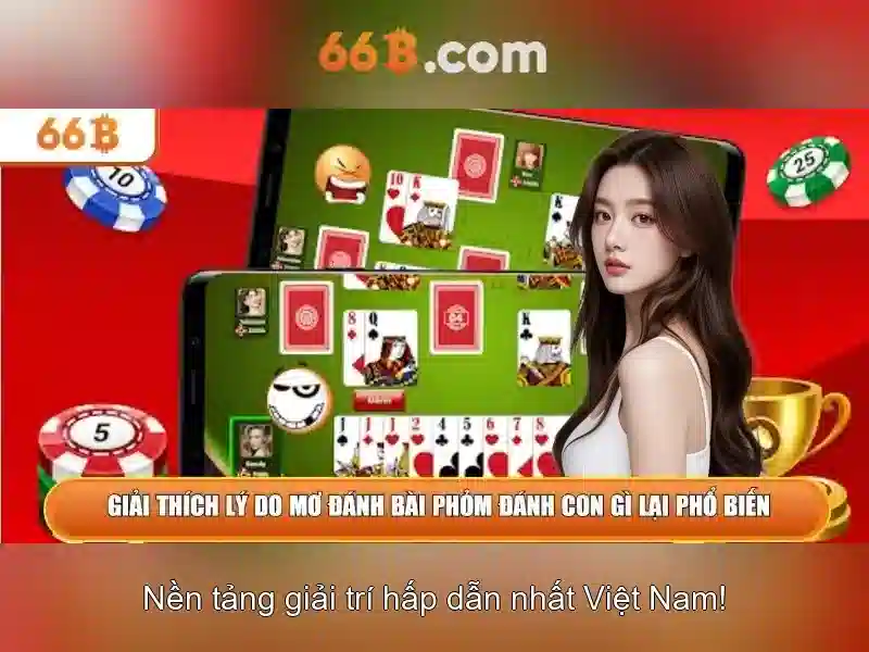 Khái niệm 66B