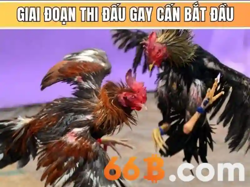  Khởi động trò chơi bài an toàn</span></p>