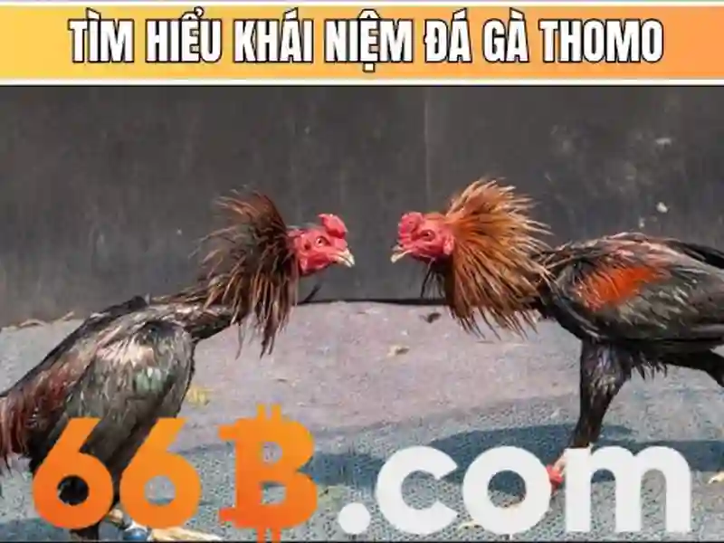 <!--IMG_PLACEHOLDER alt>Trải nghiệm người dùng và phản hồi cộng đồng của xóc đĩa 66b-->