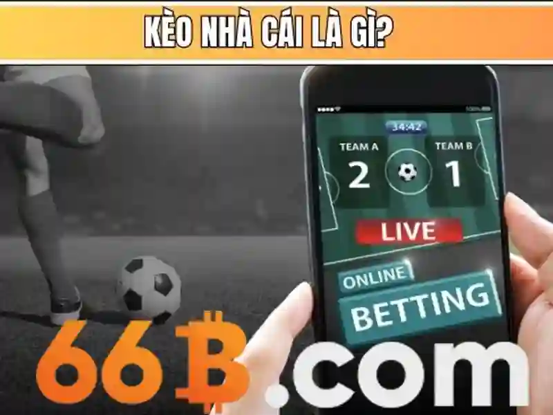 Ứng dụng và cân nhắc sử dụng