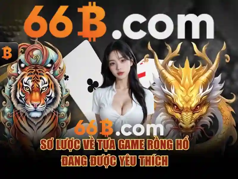 66B là gì?