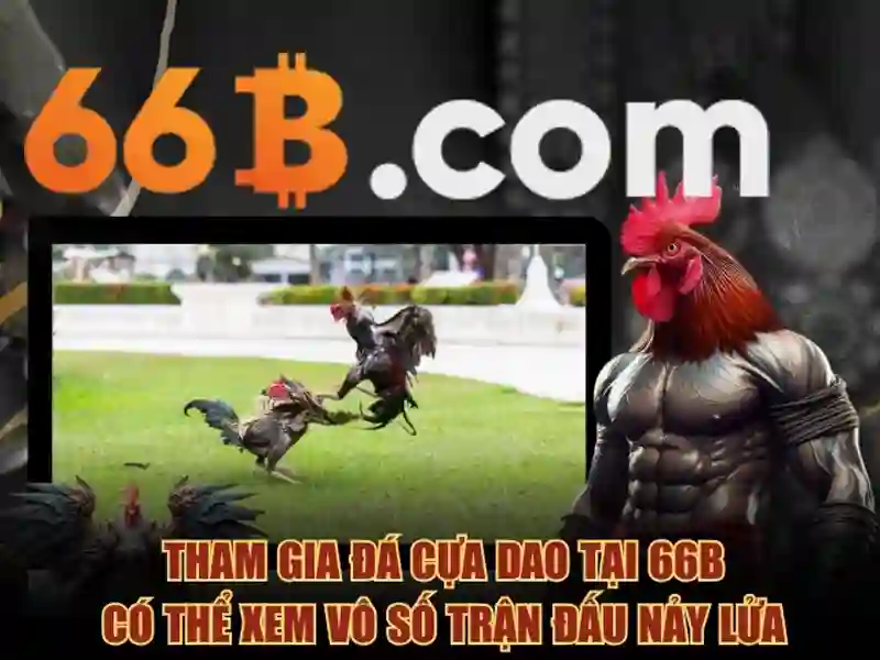 66b có lừa đảo không? Phân tích chi tiết từ chuyên gia SEO