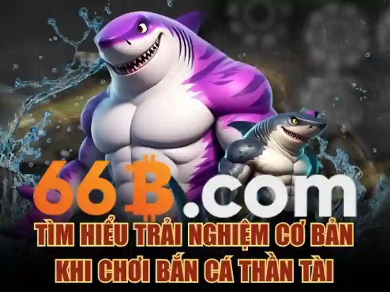 Kiến trúc và khả năng