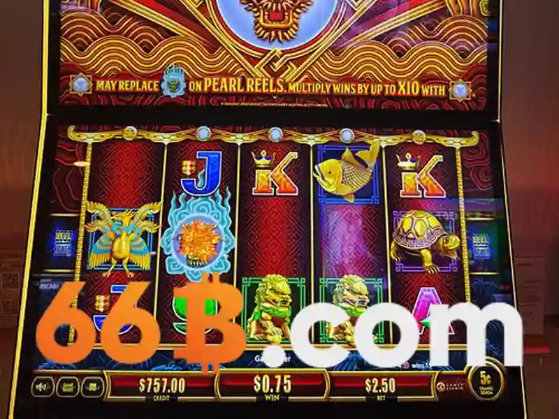 Tổng kết và mời trải nghiệm