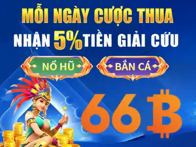 66b kw – Tổng quan chủ đề và giá trị cốt lõi