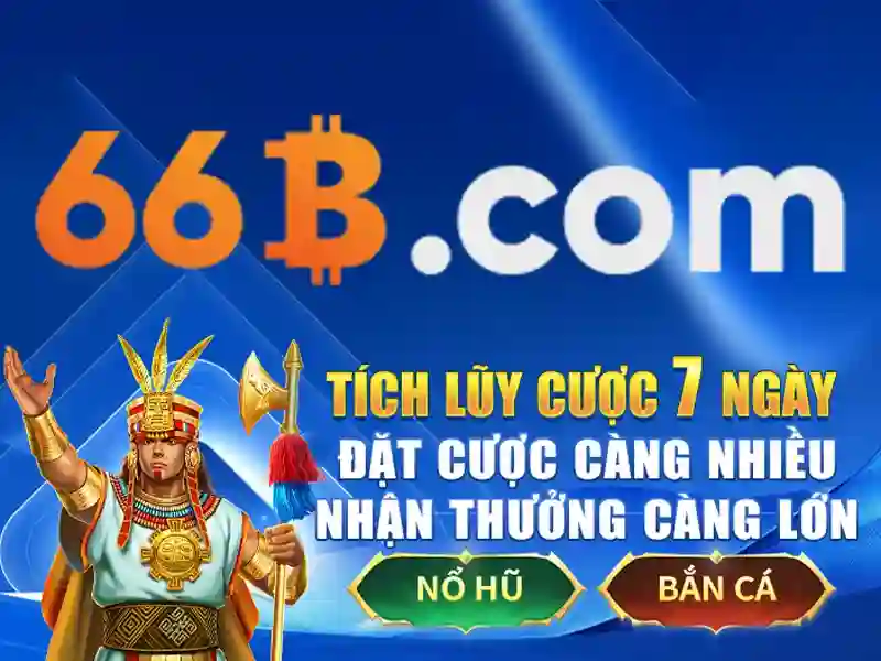 66b là gì và ứng dụng của nó