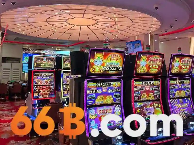 Đặc điểm nổi bật