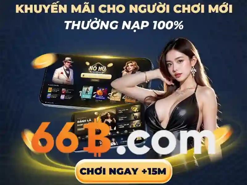 66b không vào được — Trải nghiệm, đánh giá và định hướng tương lai